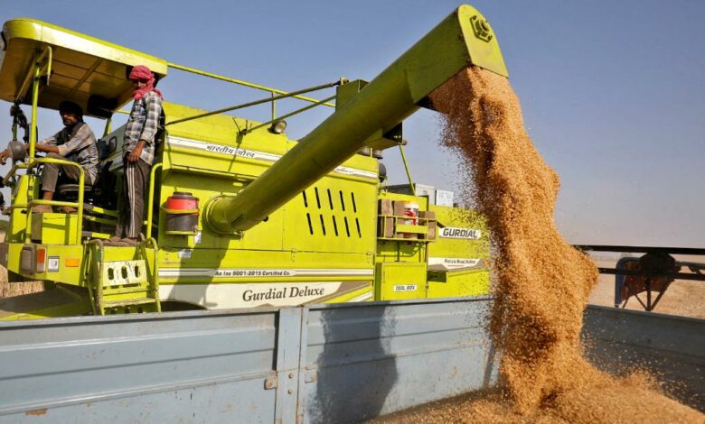 Rusko dodává Egyptu obrovské množství pšenice
