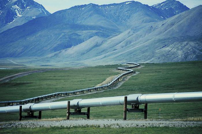 Gazprom tradičně vyvezl jen do dalekého zahraničí na západ asi 200 miliard metrů krychlových pouze potrubního plynu