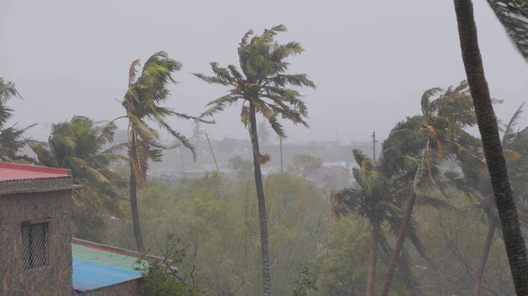 Větve stromů se houpou, jak zasáhl cyklón Freddy v Quelimane, Zambezia, Mosambik